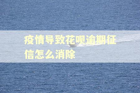 疫情导致花呗逾期征信怎么消除