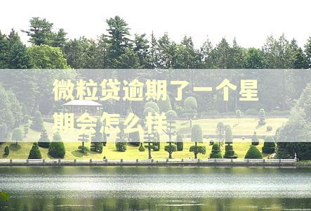 微粒贷逾期了一个星期会怎么样