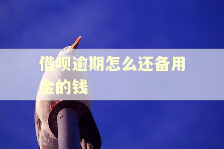 借呗逾期怎么还备用金的钱