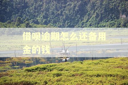 借呗逾期怎么还备用金的钱