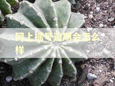 网上摇号逾期会怎么样