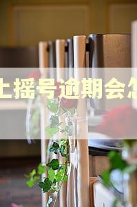 网上摇号逾期会怎么样