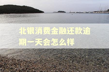 北银消费金融还款逾期一天会怎么样