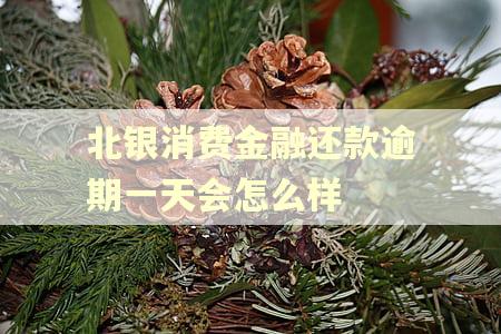 北银消费金融还款逾期一天会怎么样 北银消费金融还款逾期一天会怎么样