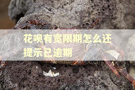 花呗有宽限期怎么还提示已逾期