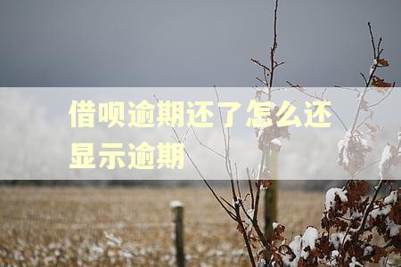 借呗逾期还了怎么还显示逾期