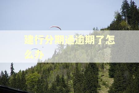 建行分期通逾期了怎么办