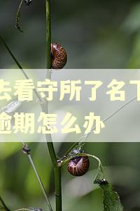 人去看守所了名下贷款逾期怎么办