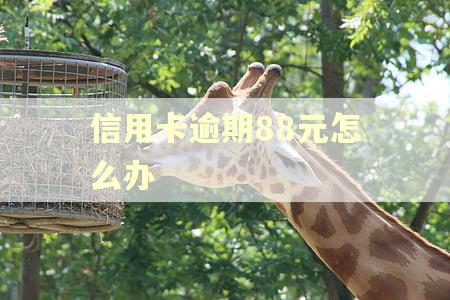 信用卡逾期88元怎么办
