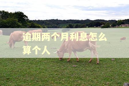 逾期两个月利息怎么算个人