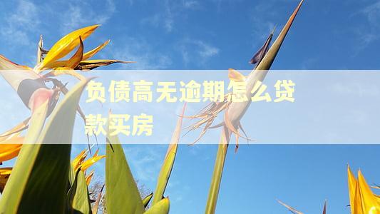 负债高无逾期怎么贷款买房