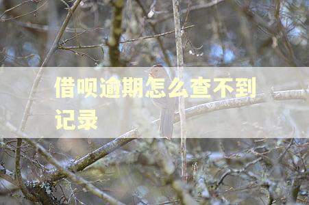 借呗逾期怎么查不到记录
