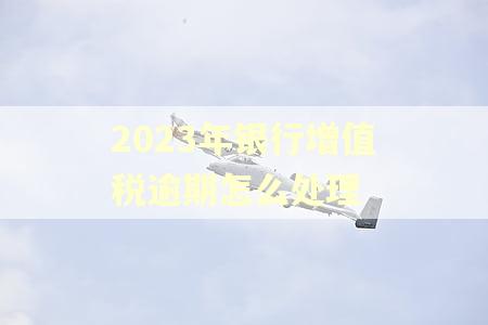 2023年银行增值税逾期怎么处理