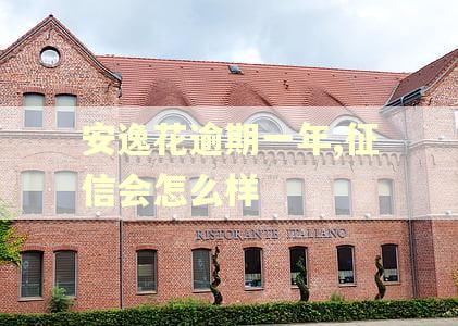 安逸花逾期一年,征信会怎么样