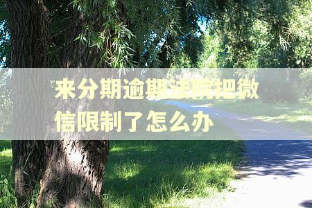 来分期逾期法院把微信限制了怎么办