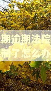 来分期逾期法院把微信限制了怎么办