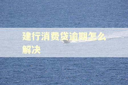 建行消费贷逾期怎么解决