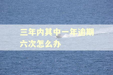 三年内其中一年逾期六次怎么办