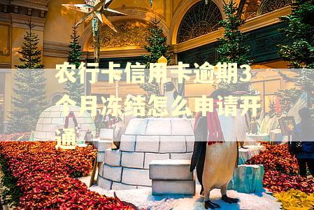 农行卡信用卡逾期3个月冻结怎么申请开通