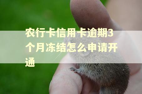 农行卡信用卡逾期3个月冻结怎么申请开通 农行卡信用卡逾期3个月冻结怎么申请开通