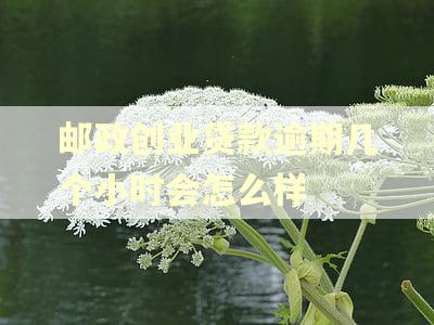 邮政创业贷款逾期几个小时会怎么样
