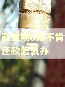 招商逾期6万不肯协商还款怎么办