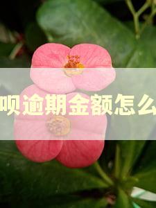 借呗逾期金额怎么算