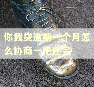 你我贷逾期一个月怎么协商一把还完
