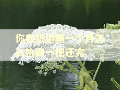 你我贷逾期一个月怎么协商一把还完 你我贷逾期一个月怎么协商一把还完