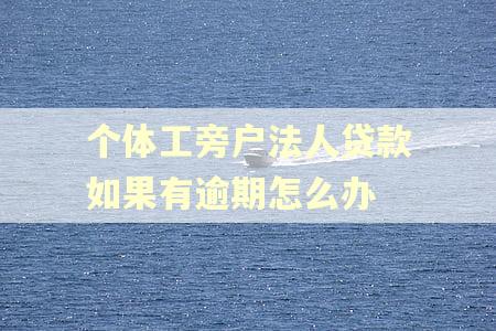 个体工旁户法人贷款如果有逾期怎么办