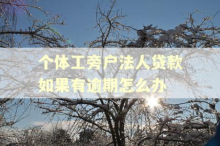 个体工旁户法人贷款如果有逾期怎么办