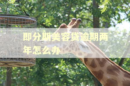 即分期美容贷逾期两年怎么办