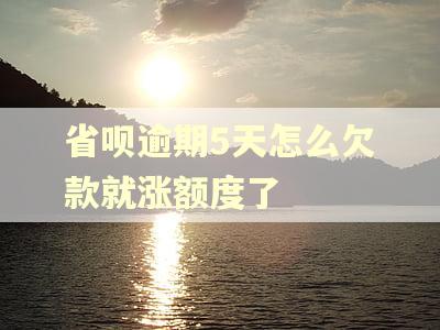 省呗逾期5天怎么欠款就涨额度了
