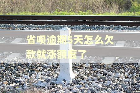 省呗逾期5天怎么欠款就涨额度了