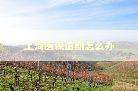 上海医保逾期怎么办