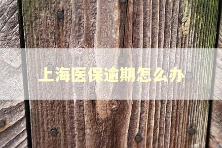 上海医保逾期怎么办