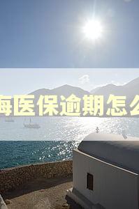 上海医保逾期怎么办