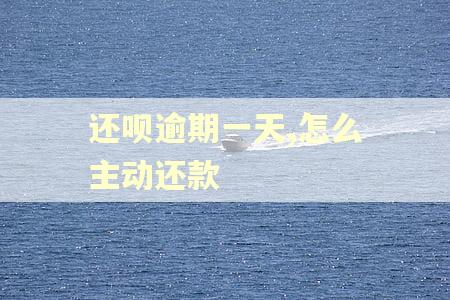 还呗逾期一天,怎么主动还款