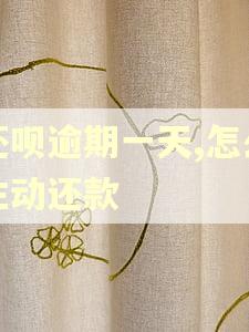 还呗逾期一天,怎么主动还款