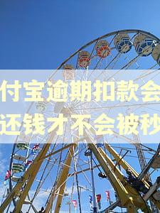 支付宝逾期扣款会怎么还钱才不会被秒扣