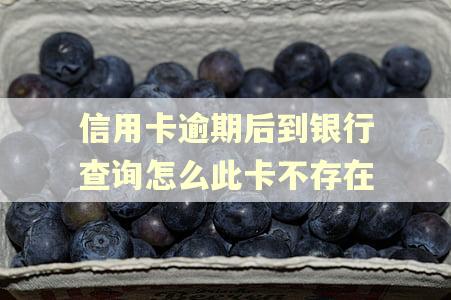 信用卡逾期后到银行查询怎么此卡不存在