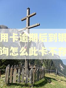 信用卡逾期后到银行查询怎么此卡不存在