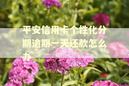 平安信用卡个性化分期逾期一天还款怎么办