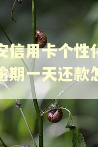 平安信用卡个性化分期逾期一天还款怎么办