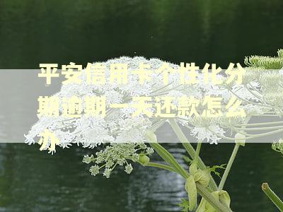 平安信用卡个性化分期逾期一天还款怎么办