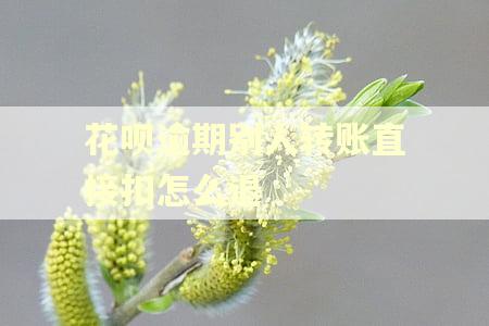 花呗逾期别人转账直接扣怎么退