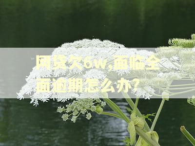 网贷欠6w,面临全面逾期怎么办?