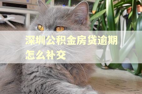 深圳公积金房贷逾期怎么补交