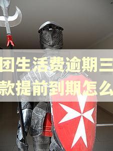 美团生活费逾期三天借款提前到期怎么办