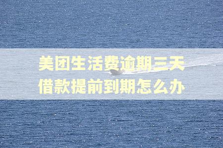 美团生活费逾期三天借款提前到期怎么办 美团生活费逾期三天借款提前到期怎么办